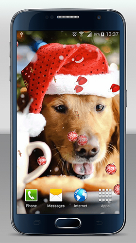 Télécharger le fond d'écran animé gratuit Chiens de Noël . Obtenir la version complète app apk Android Christmas dogs pour tablette et téléphone.