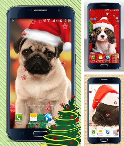 Kostenloses Android-Live Wallpaper Weihnachtshunde. Vollversion der Android-apk-App Christmas dogs für Tablets und Telefone.