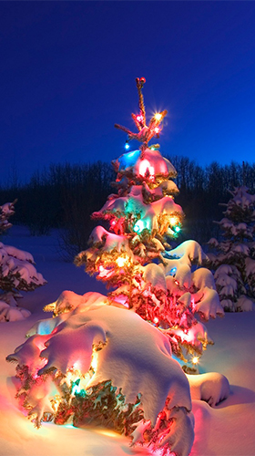 Screenshots of the Christmas tree by Live Wallpaper Workshop for Android tablet, phone.