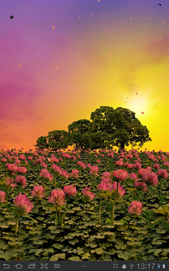 Download Clover field - livewallpaper for Android. Clover field apk - free download.