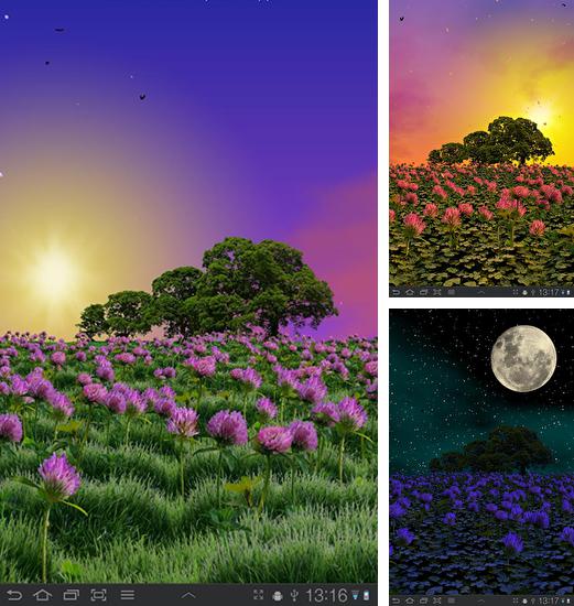 In addition to live wallpaper Colored lights for Android phones and tablets, you can also download Clover field for free.
