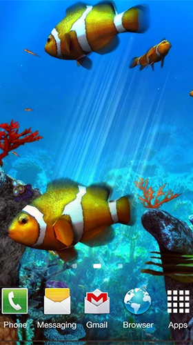 Clownfish aquarium 3D