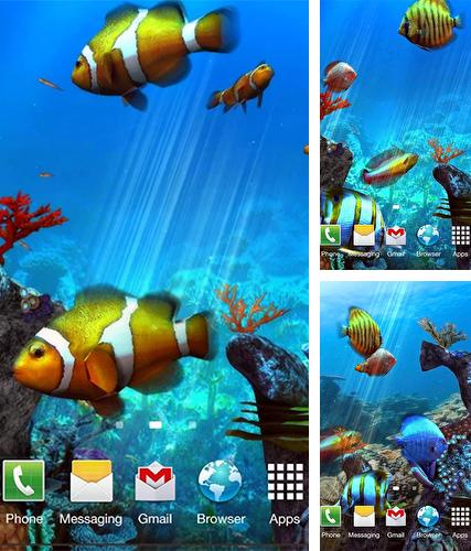 Descarga gratuita fondos de pantalla animados Acuario de pez payaso 3D para Android. Consigue la versión completa de la aplicación apk de Clownfish aquarium 3D para tabletas y teléfonos Android.