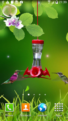 Colibri für Android spielen. Live Wallpaper Kolibri kostenloser Download.