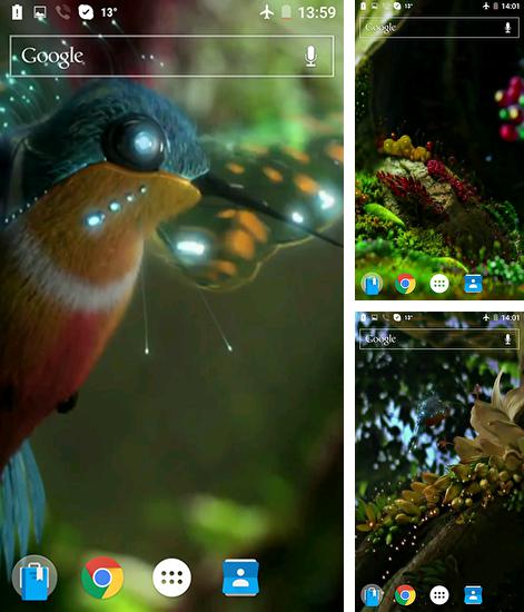 Kostenloses Android-Live Wallpaper Kolibri. Vollversion der Android-apk-App Colibri by Joseires für Tablets und Telefone.