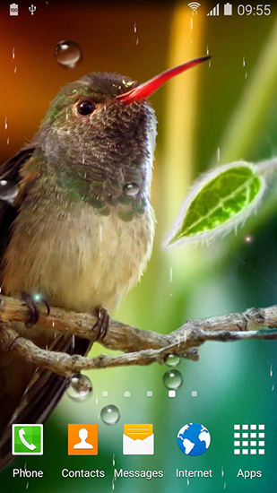 Colibries für Android spielen. Live Wallpaper Kolibri kostenloser Download.