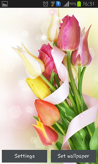 Colorful tulips für Android spielen. Live Wallpaper Farbige Tulpen kostenloser Download.