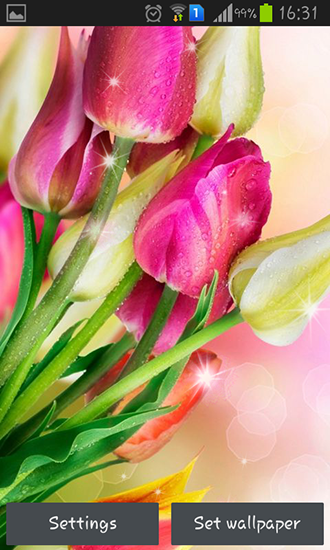 Écrans de Colorful tulips pour tablette et téléphone Android.