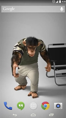 Cool monkey - безкоштовно скачати живі шпалери на Андроїд телефон або планшет.