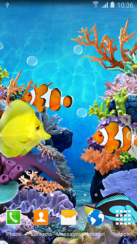 Papeis de parede animados Peixes corais para Android. Papeis de parede animados Coral fish para download gratuito.