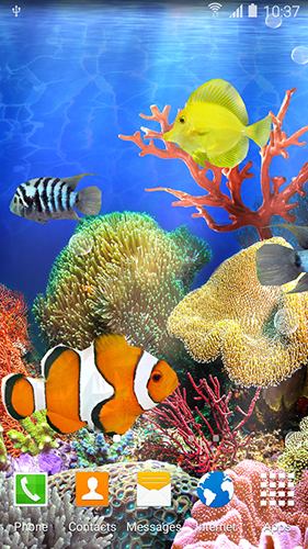 Screenshots of the Coral fish for Android tablet, phone.