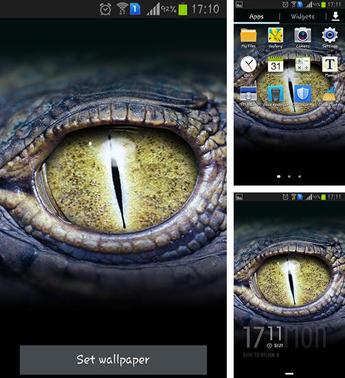 Дополнительно к живым обоям на Андроид телефоны и планшеты Морозный котенок, вы можете также бесплатно скачать заставку Crocodile eyes.