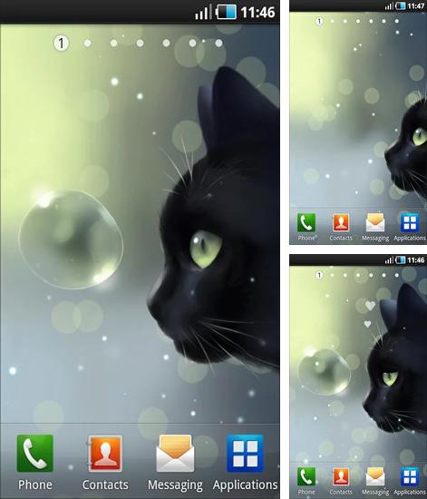 Дополнительно к живым обоям на Андроид телефоны и планшеты Спидометр 3D, вы можете также бесплатно скачать заставку Curious Cat.