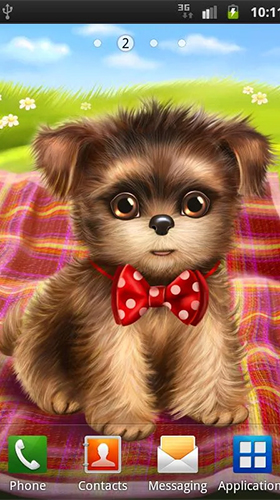 Cute and sweet puppy: Dress him up - скачати безкоштовно живі шпалери для Андроїд на робочий стіл.