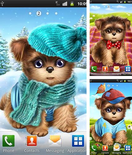 Kostenloses Android-Live Wallpaper Süßer und niedlicher Welpe: Zieh ihn an. Vollversion der Android-apk-App Cute and sweet puppy: Dress him up für Tablets und Telefone.
