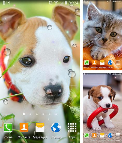 Zusätzlich zum Live Wallpaper Feuerengel für Android Mobiltelefone und Tablets, können Sie auch Cute animals, Niedliche Tiere kostenlos herunterladen.