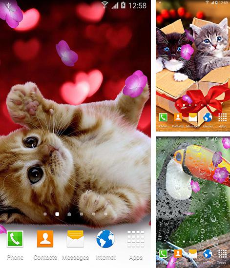 Kostenloses Android-Live Wallpaper Niedliche Tiere. Vollversion der Android-apk-App Cute animals by Live wallpapers 3D für Tablets und Telefone.