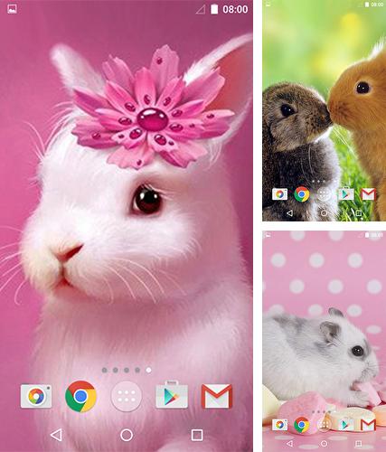 Descarga gratuita fondos de pantalla animados Animales lindos  para Android. Consigue la versión completa de la aplicación apk de Cute animals by MISVI Apps for Your Phone para tabletas y teléfonos Android.