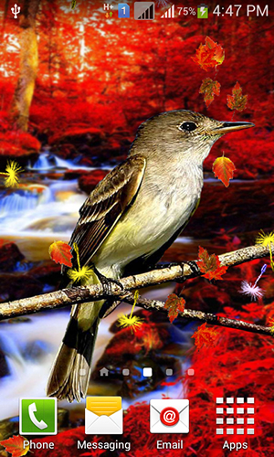 Скріншот Cute birds. Скачати живі шпалери на Андроїд планшети і телефони.