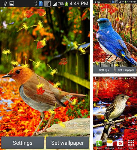 Дополнительно к живым обоям на Андроид телефоны и планшеты Прекрасная сезонная погода, вы можете также бесплатно скачать заставку Cute birds.