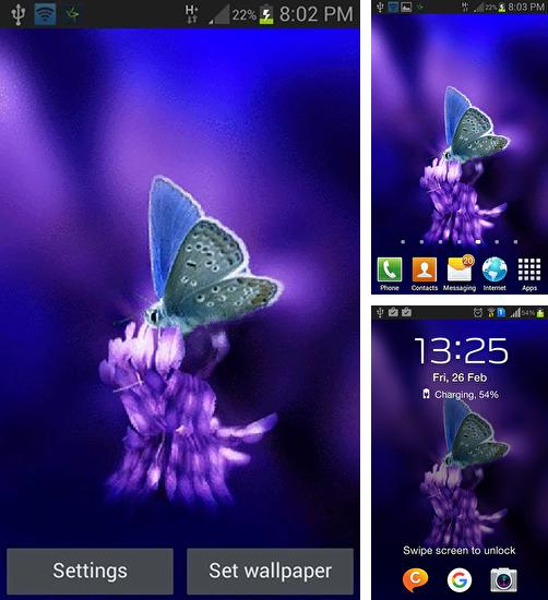 Cute butterfly by Daksh apps - бесплатно скачать живые обои на Андроид телефон или планшет.
