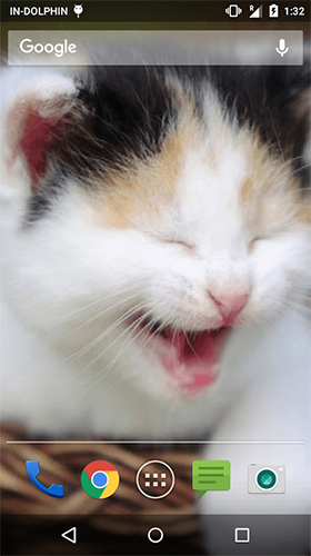 Скріншот Cute cat by Psii. Скачати живі шпалери на Андроїд планшети і телефони.
