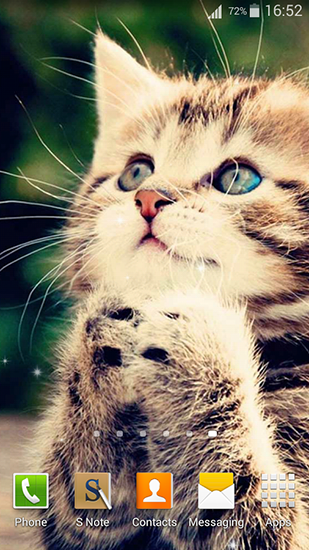 Cute cats für Android spielen. Live Wallpaper Süße Katzen kostenloser Download.