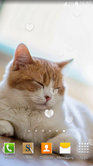 Écrans de Cute cats pour tablette et téléphone Android.