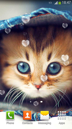 Cute cats - скріншот живих шпалер для Android.