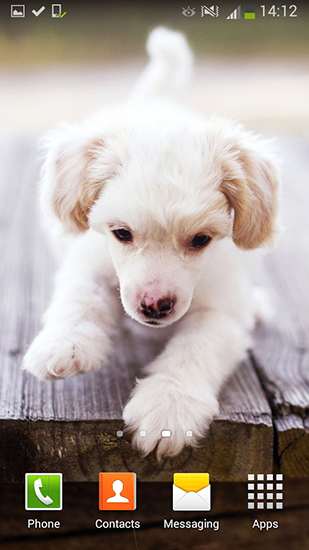 Screenshots von Cute dogs für Android-Tablet, Smartphone.