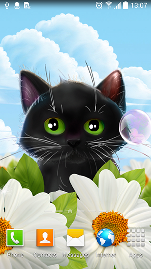 Cute kitten - бесплатно скачать живые обои на Андроид телефон или планшет.