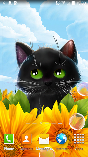 Screenshots of the Cute kitten for Android tablet, phone.