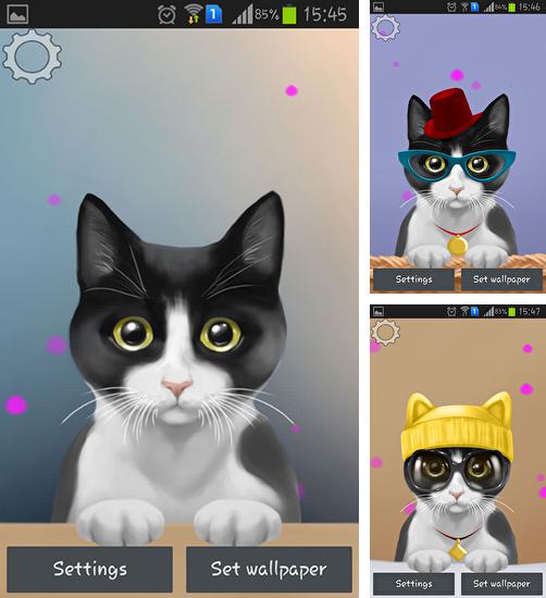 Zusätzlich zum Live Wallpaper Farbenfrohe Magie für Android Mobiltelefone und Tablets, können Sie auch Cute kitty, Niedliche Katze kostenlos herunterladen.
