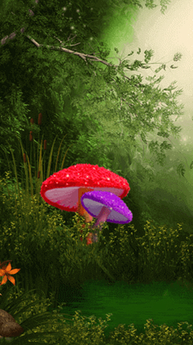 Cute mushroom - бесплатно скачать живые обои на Андроид телефон или планшет.