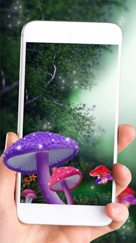 Screenshots do Cogumelo bonito para tablet e celular Android.
