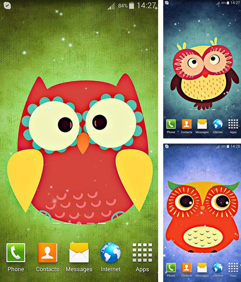 Kostenloses Android-Live Wallpaper Niedliche Eule. Vollversion der Android-apk-App Cute owl für Tablets und Telefone.
