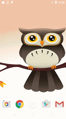 Screenshots of the Cute owl by Free Wallpapers and Backgrounds for Android tablet, phone.