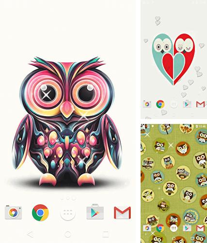 Kostenloses Android-Live Wallpaper Niedliche Eule. Vollversion der Android-apk-App Cute owl by Free Wallpapers and Backgrounds für Tablets und Telefone.