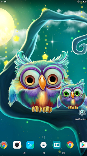 Écrans de Cute owls pour tablette et téléphone Android.
