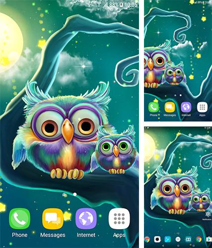 Kostenloses Android-Live Wallpaper Süße Eulen. Vollversion der Android-apk-App Cute owls für Tablets und Telefone.