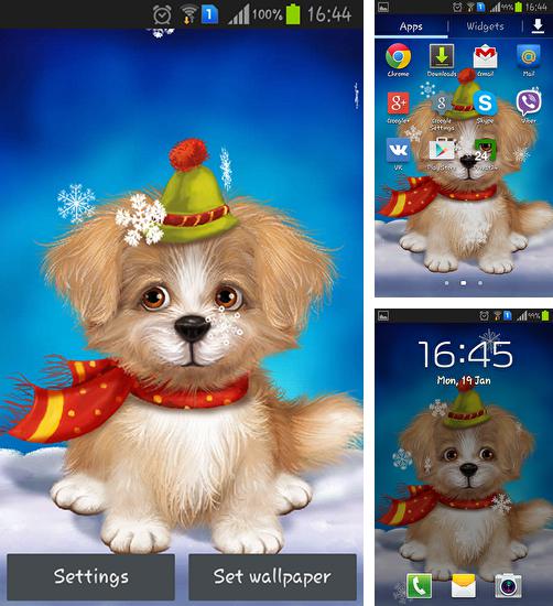 Zusätzlich zum Live Wallpaper Quantumwolke für Android Mobiltelefone und Tablets, können Sie auch Cute puppy, Süßer Welpe kostenlos herunterladen.