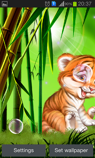 Fondos de pantalla animados a Cute tiger cub para Android. Descarga gratuita fondos de pantalla animados Cachorro de tigre lindo.