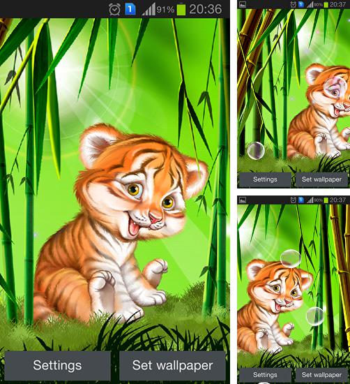 Télécharger le fond d'écran animé gratuit Petit tigre aimable . Obtenir la version complète app apk Android Cute tiger cub pour tablette et téléphone.