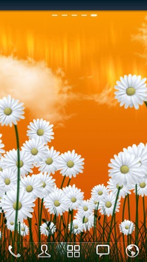 Screenshots of the Daisies for Android tablet, phone.