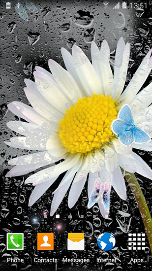 Téléchargement gratuit de Daisies by Live wallpapers 3D pour Android.