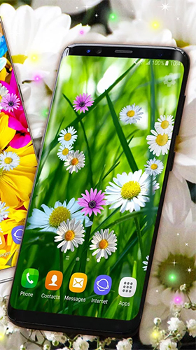 Download livewallpaper Daisies HQ for Android. Get full version of Android apk livewallpaper Daisies HQ for tablet and phone.
