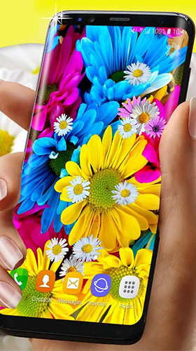 Download Daisies HQ - livewallpaper for Android. Daisies HQ apk - free download.