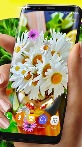 Скриншот Daisies HQ. Скачать живые обои на Андроид планшеты и телефоны.