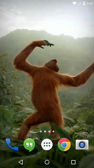 Télécharger le fond d'écran animé gratuit Singe dansant. Obtenir la version complète app apk Android Dancing monkey pour tablette et téléphone.