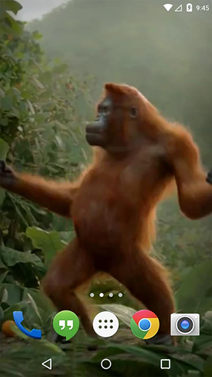 Android タブレット、携帯電話用踊る猿のスクリーンショット。